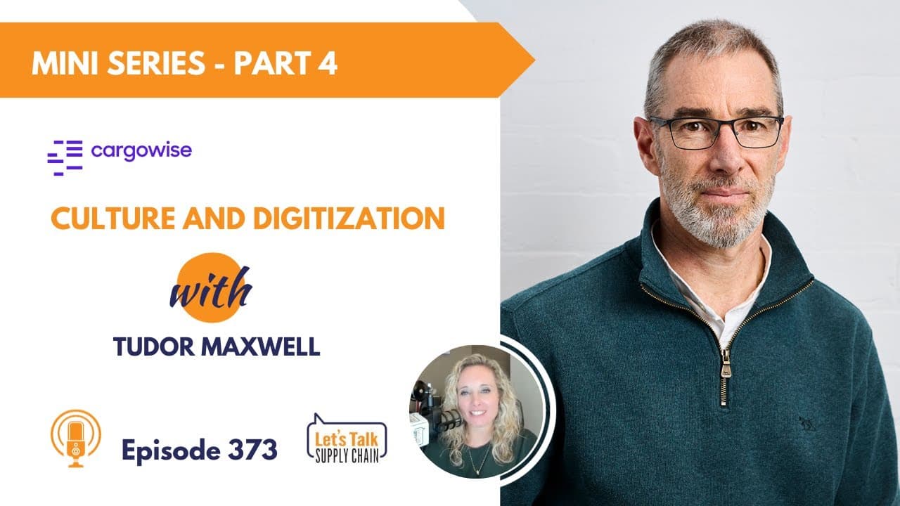 373: Going Beyond Visibility – Culture and Digitization