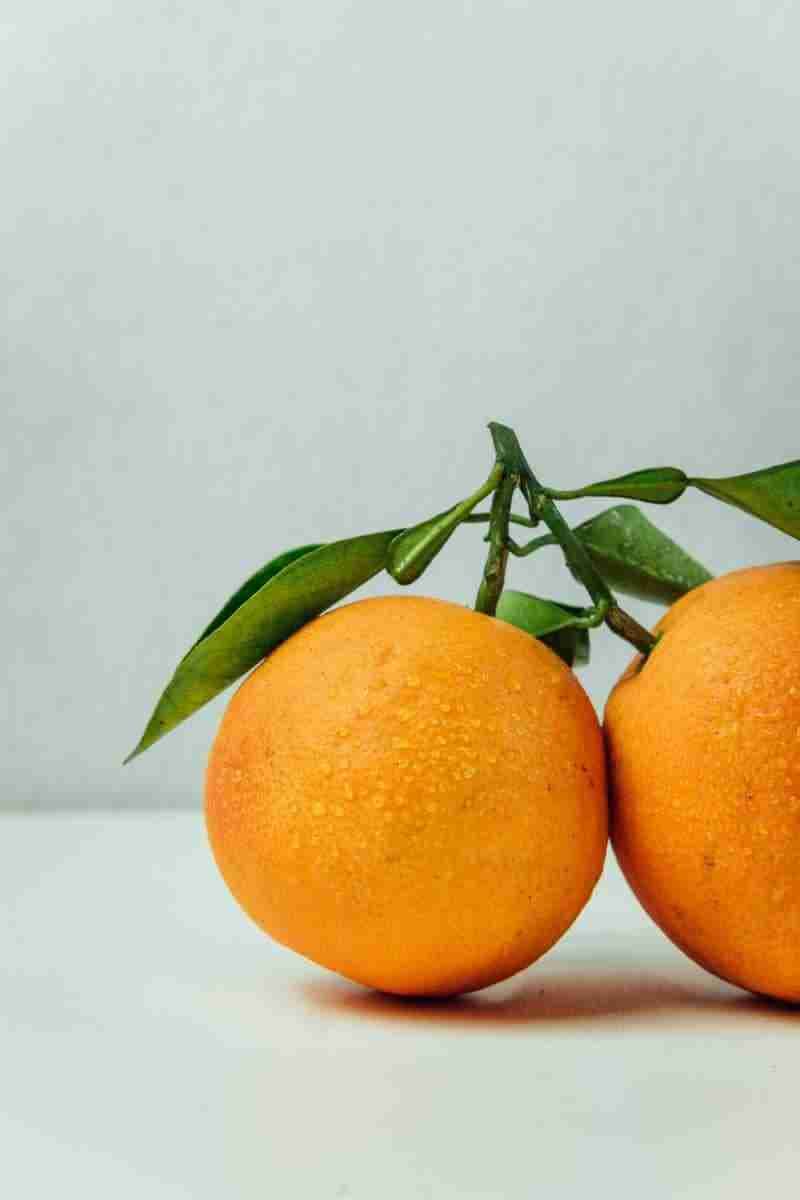 Here’s How the Fresh Supply Chain Can End World Hunger
