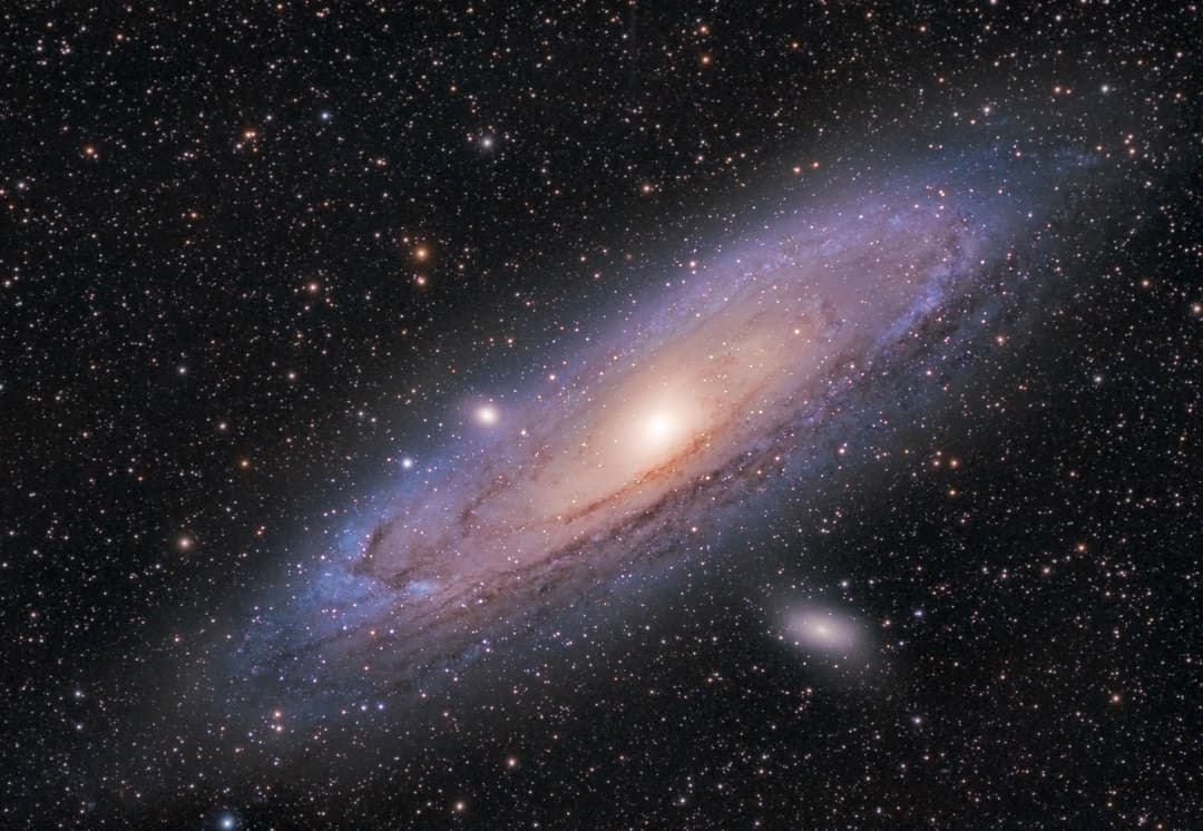 “How a Wholesale Distributor Escaped a Black Hole”